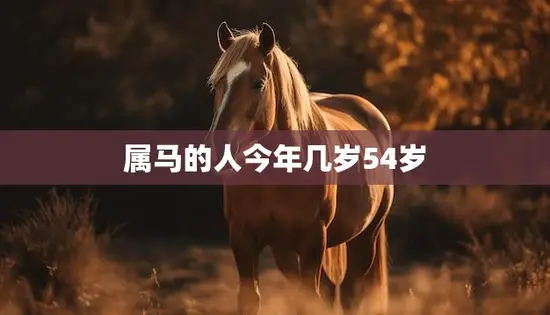 属马的人今年几岁54岁(马年人的人生盛宴)