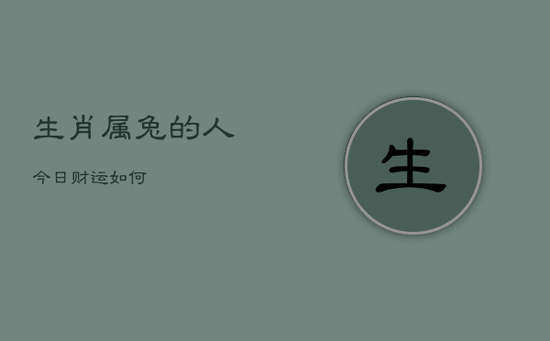 生肖属兔的人今日财运如何