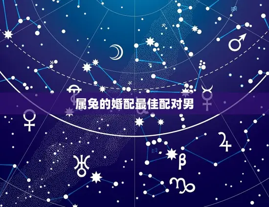 属兔的婚配最佳配对男 属兔的婚配最佳配对男