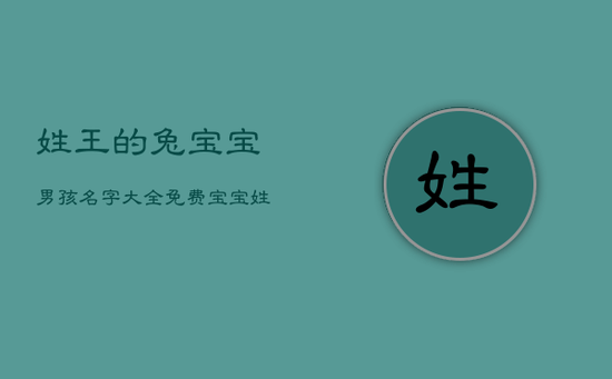 姓王的兔宝宝男孩名字大全免费，宝宝姓王取什么名字好免费