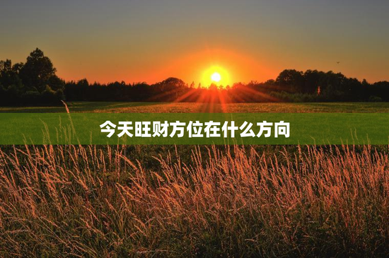 今天旺财方位在什么方向 今天旺财方位在什么方向