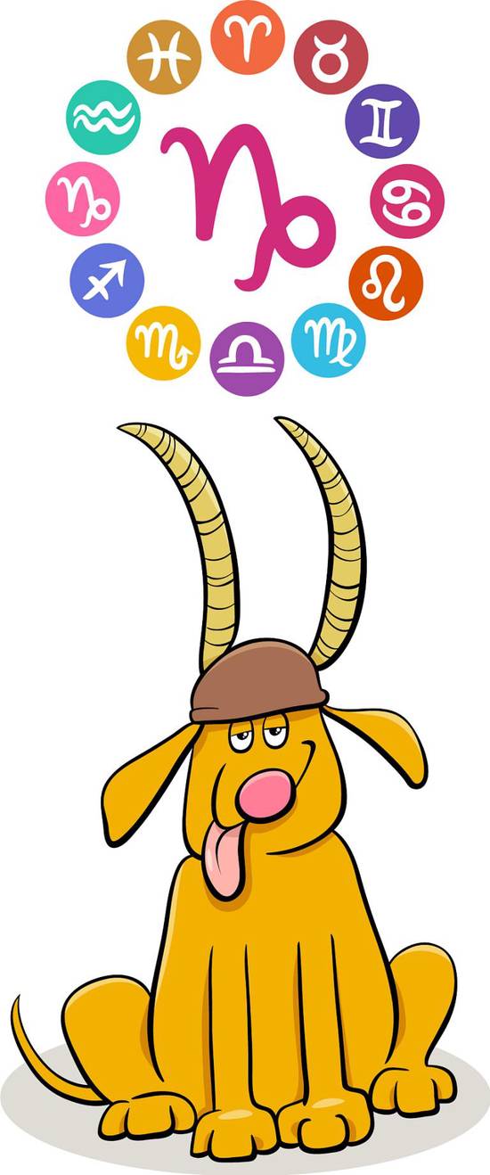 摩羯座女生会随便让睡吗(揭秘摩羯座女生的性格特点)