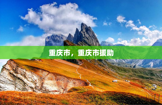 重庆市，重庆市援助