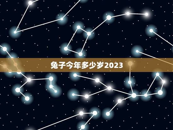 兔子今年多少岁2023？(讨论兔子寿命和年龄计算方法)