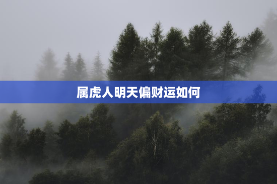 属虎人明天偏财运如何