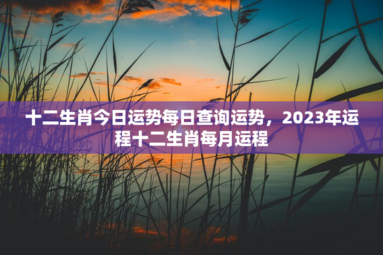 十二生肖今日运势每日查询运势，2023年运程十二生肖每月运程