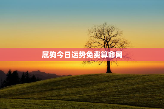 属狗今日运势免费算命网