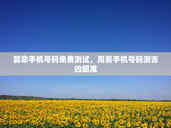 算命手机号码免费测试,周易手机号码测吉凶超准 算命手机号码免费测试,周易手机号码测吉凶超准