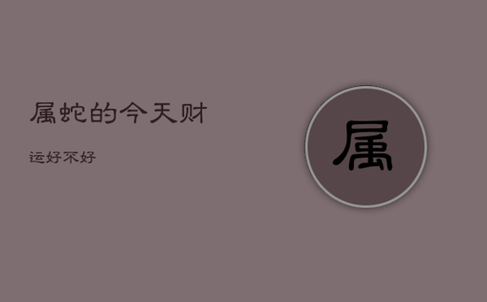 属蛇的今天财运好不好