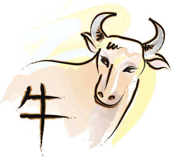 养10头牛一年利润多少(揭秘养牛真的能赚钱吗)