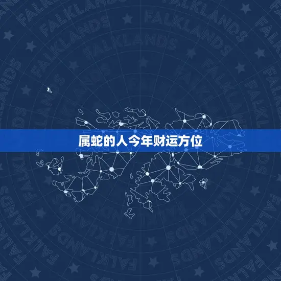 属蛇的人今年财运方位