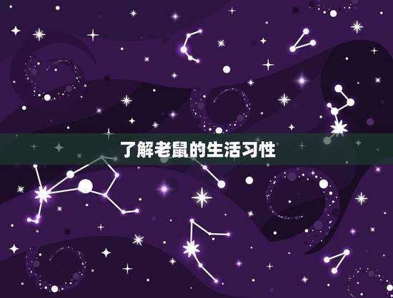 了解老鼠的生活习性