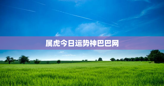 属虎今日运势神巴巴网 属虎今日运势神巴巴网