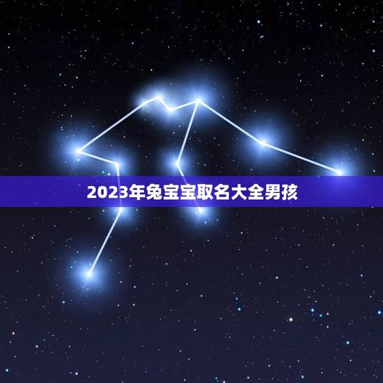 2023年兔宝宝取名大全男孩(的兔宝宝男孩名字推荐)