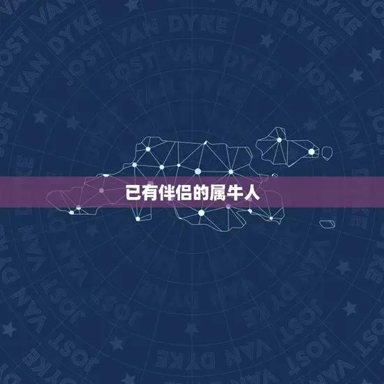 已有伴侣的属牛人