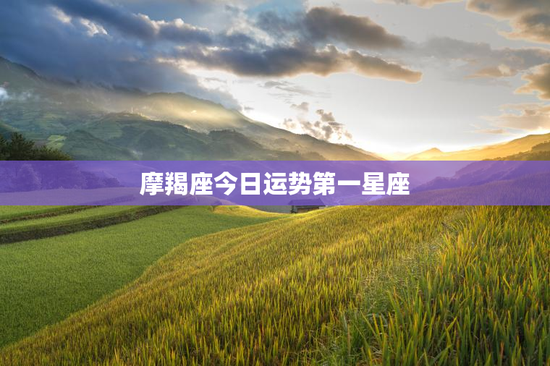 摩羯座今日运势第一星座 摩羯座今日运势第一星座