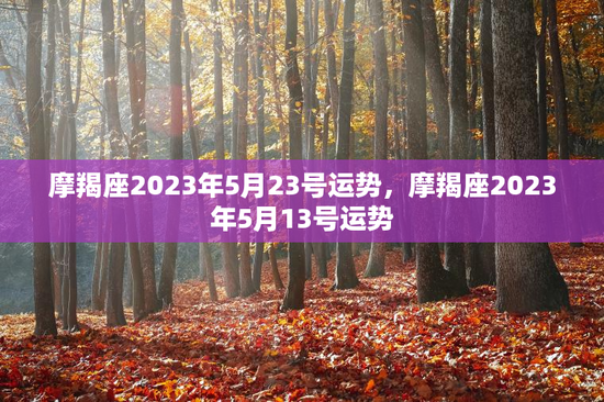 摩羯座2023年5月23号运势，摩羯座2023年5月13号运势
