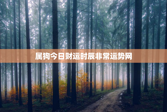 属狗今日财运时辰非常运势网