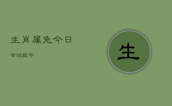 生肖属兔今日幸运数字