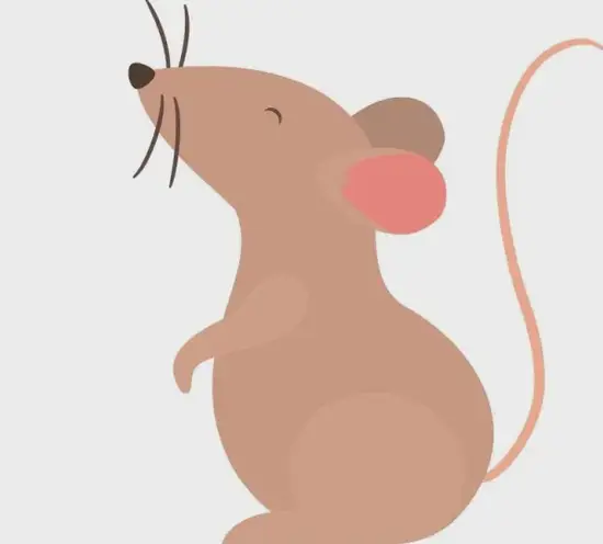 深夜翻动黄历的准新人总会被红绳缠绕的疑问绊住脚步——生肖配对究竟藏着哪些不可触碰的禁忌?当十二生肖婚配禁忌遇上现代婚恋观 深夜翻动黄历的准新人总会被红绳缠绕的疑问绊住脚步——生肖配对究竟藏着哪些不可触碰的禁忌?当十二生肖婚配禁忌遇上现代婚恋观