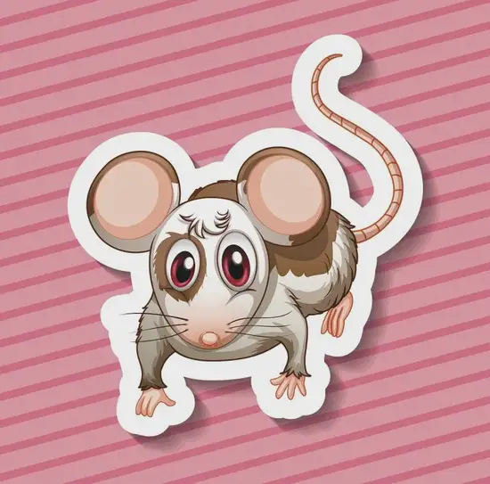 生肖鼠发音示意图