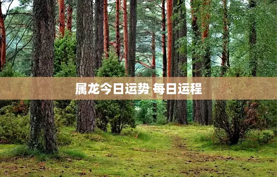 属龙今日运势 每日运程