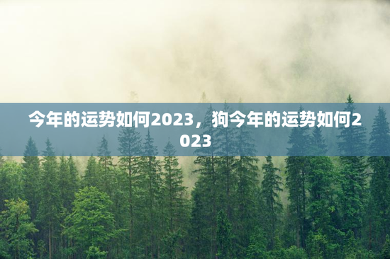 今年的运势如何2023，狗今年的运势如何2023