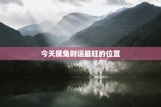 今天属兔财运最旺的位置
