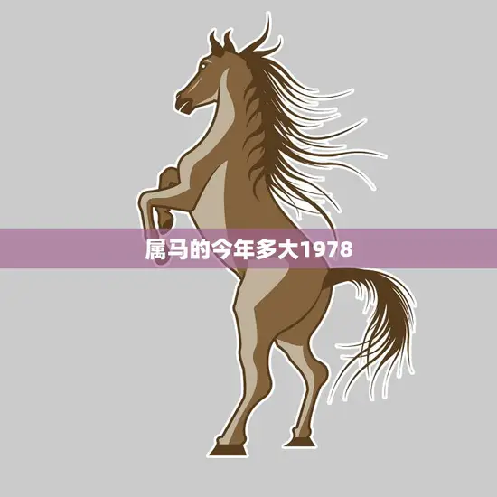 属马的今年多大1978(回顾马年人的成长历程)