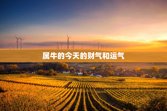 属牛的今天的财气和运气