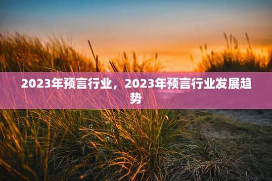 2023年预言行业,2023年预言行业发展趋势 2023年预言行业,2023年预言行业发展趋势