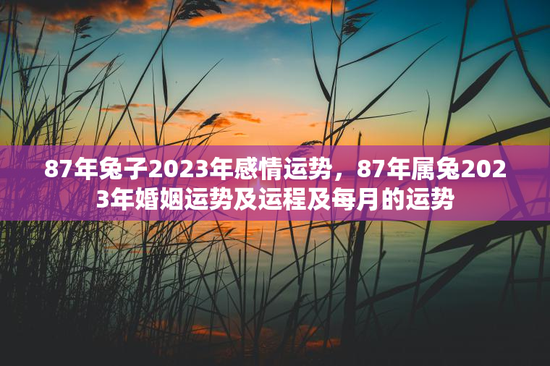 87年兔子2023年感情运势,87年属兔2023年婚姻运势及运程及每月的运势 87年兔子2023年感情运势,87年属兔2023年婚姻运势及运程及每月的运势