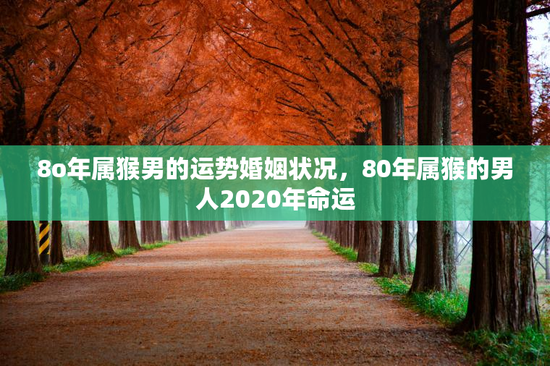 8o年属猴男的运势婚姻状况，80年属猴的男人2020年命运