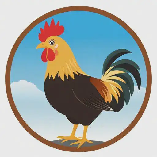 1981年的鸡和什么属相最配：1981年鸡年最佳配偶