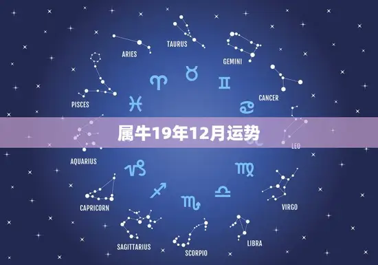 属牛19年12月运势