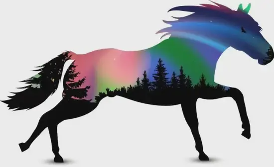 生肖马财位布局