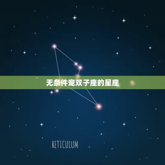 无条件宠双子座的星座 无条件宠双子座的星座