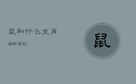 鼠和什么生肖婚配最好 鼠和什么生肖婚配最好