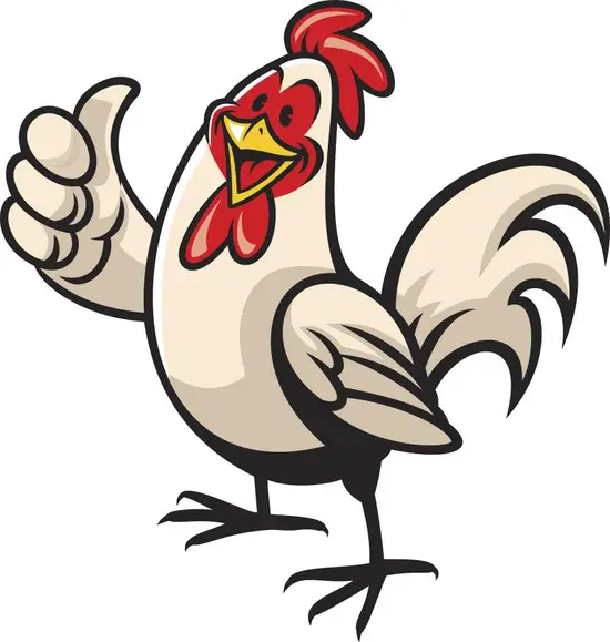 81年属鸡人的十年大运(如何把握命运转机)