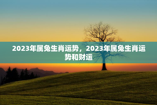 2023年属兔生肖运势，2023年属兔生肖运势和财运