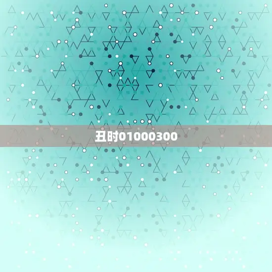 丑时01000300 丑时01000300