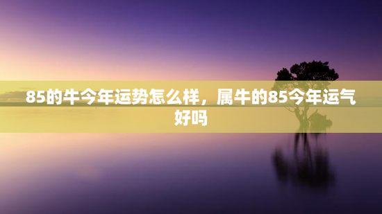 85的牛今年运势怎么样，属牛的85今年运气好吗