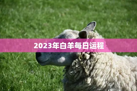 2023年白羊每日运程(掌握幸福的秘诀)