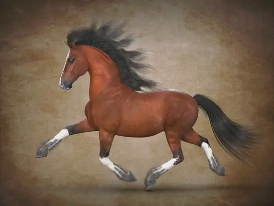 属马人今日幸运颜色穿戴建议