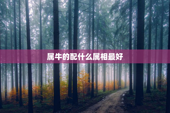属牛的配什么属相最好，属牛配什么属相最好男