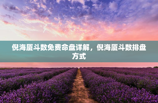 倪海厦斗数免费命盘详解，倪海厦斗数排盘方式