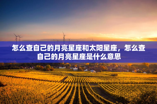 怎么查自己的月亮星座和太阳星座,怎么查自己的月亮星座是什么意思 怎么查自己的月亮星座和太阳星座,怎么查自己的月亮星座是什么意思