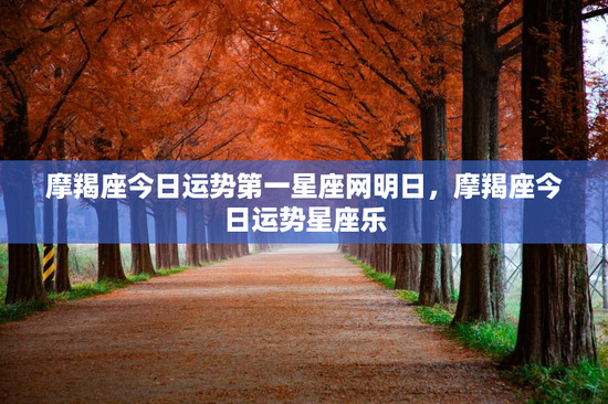 摩羯座今日运势第一星座网明日，摩羯座今日运势星座乐