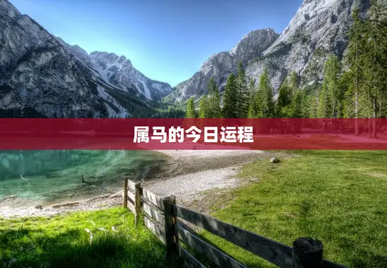 属马的今日运程