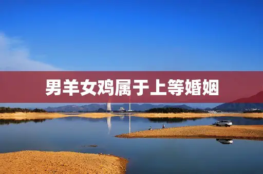男羊女鸡属于上等婚姻 男羊女鸡属于上等婚姻